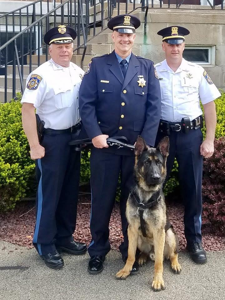 Rockland Sheriff’s Office welcomes Roscoe to the team