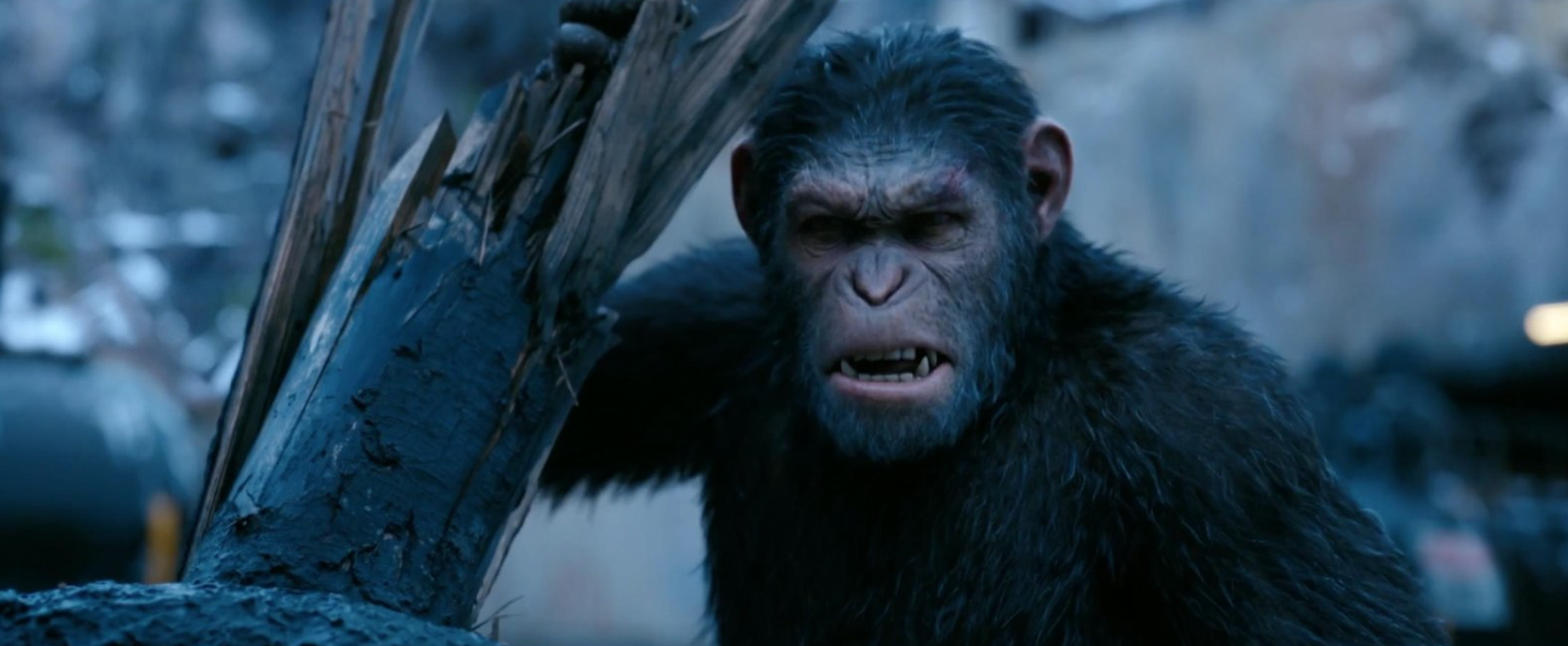 The Apes Make Their Final Stand