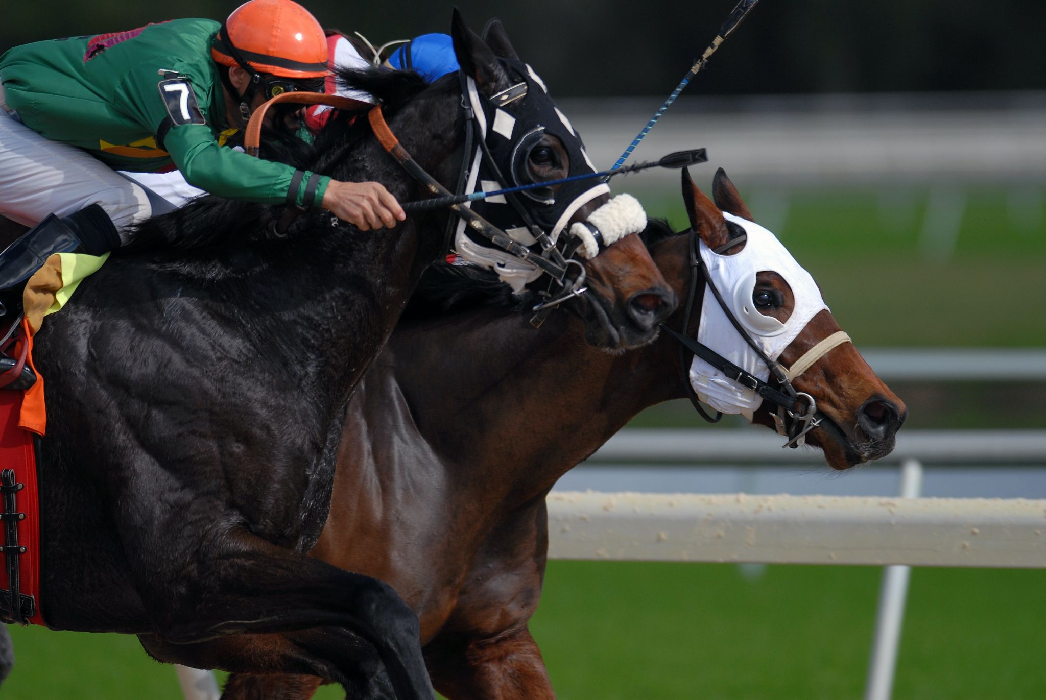 Does America or the UK have better horse racing events?