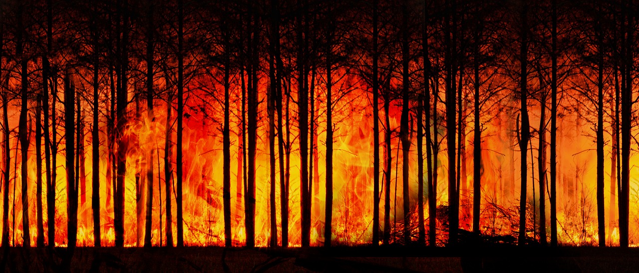 forest-fire-ge5f230b77_1280