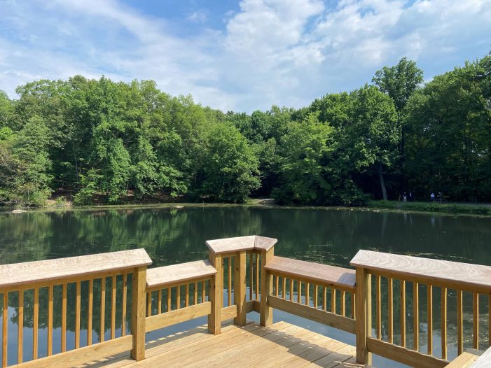 County Executive’s Corner: Discover the Beauty of Rockland County Parks This Summer