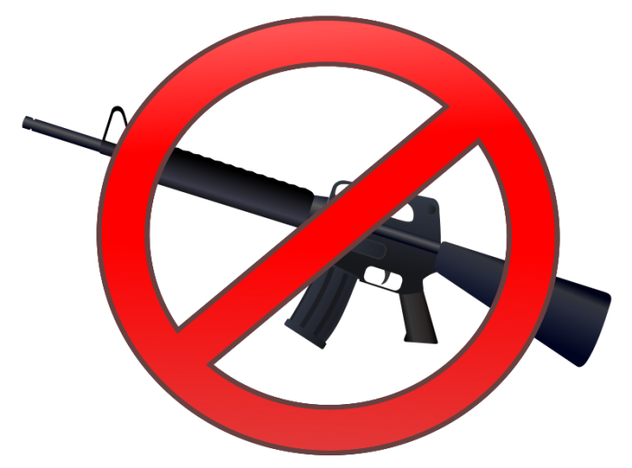 County Legislature Unanimously Approves Firearm Warning Labels