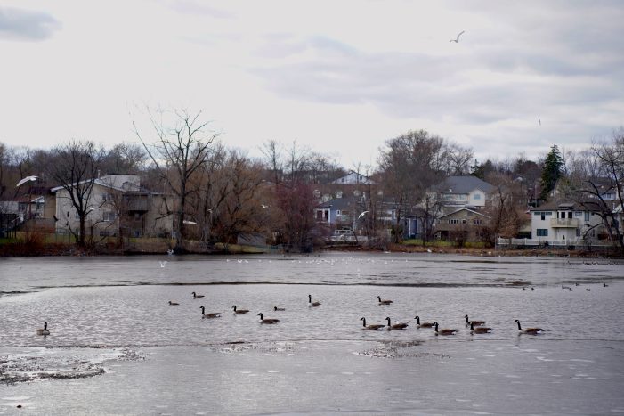 County Legislature green lights walking path at Lake Suzanne in Monsey