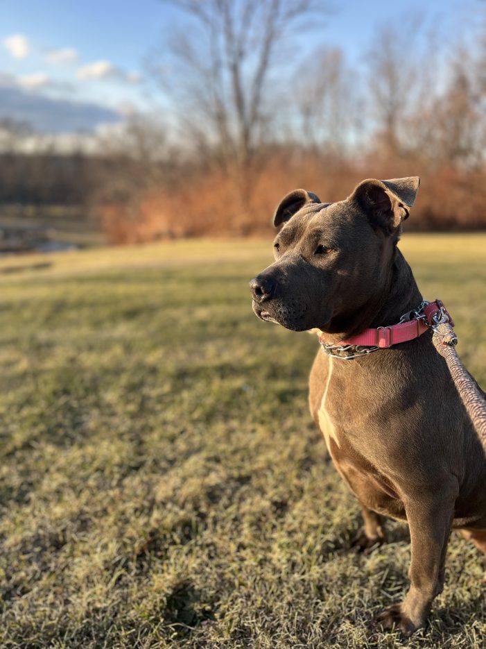 Community News 03.06.25 – 03.12.25