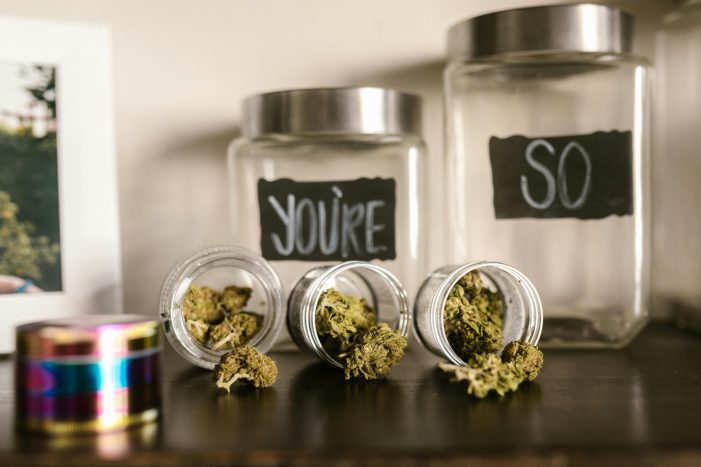 Introduction to Wholesale CBD Flower – Making Wellness Affordable