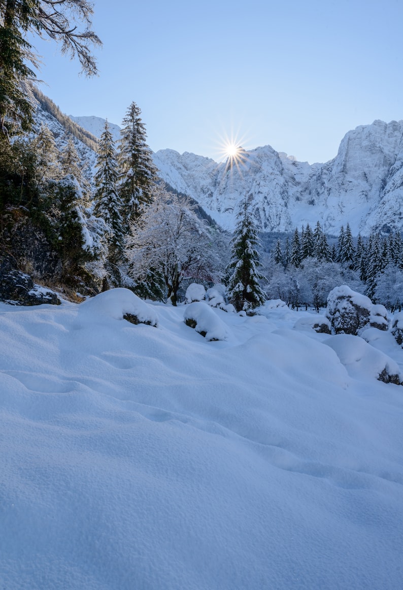frost