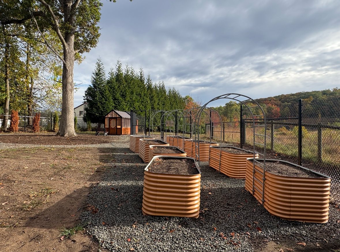 560899087_1225732536244862_7422041803178145393_n