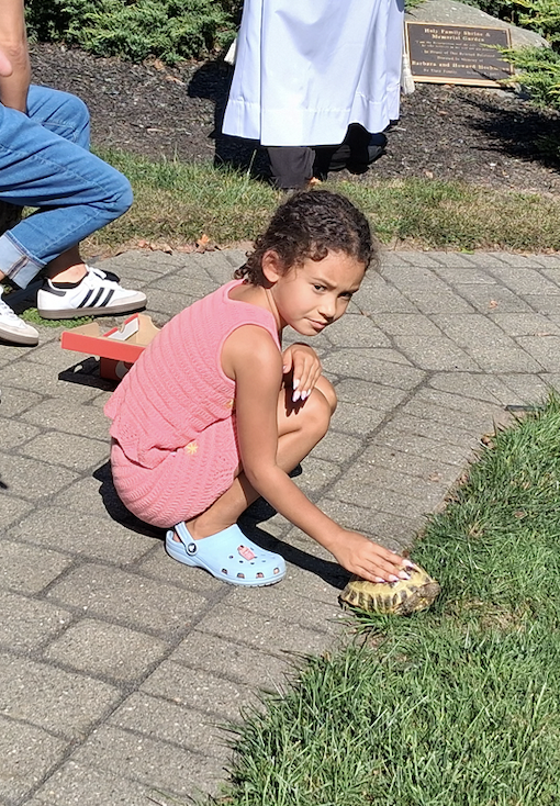 Screen Shot 2025-10-09 at 11.54.38 AM