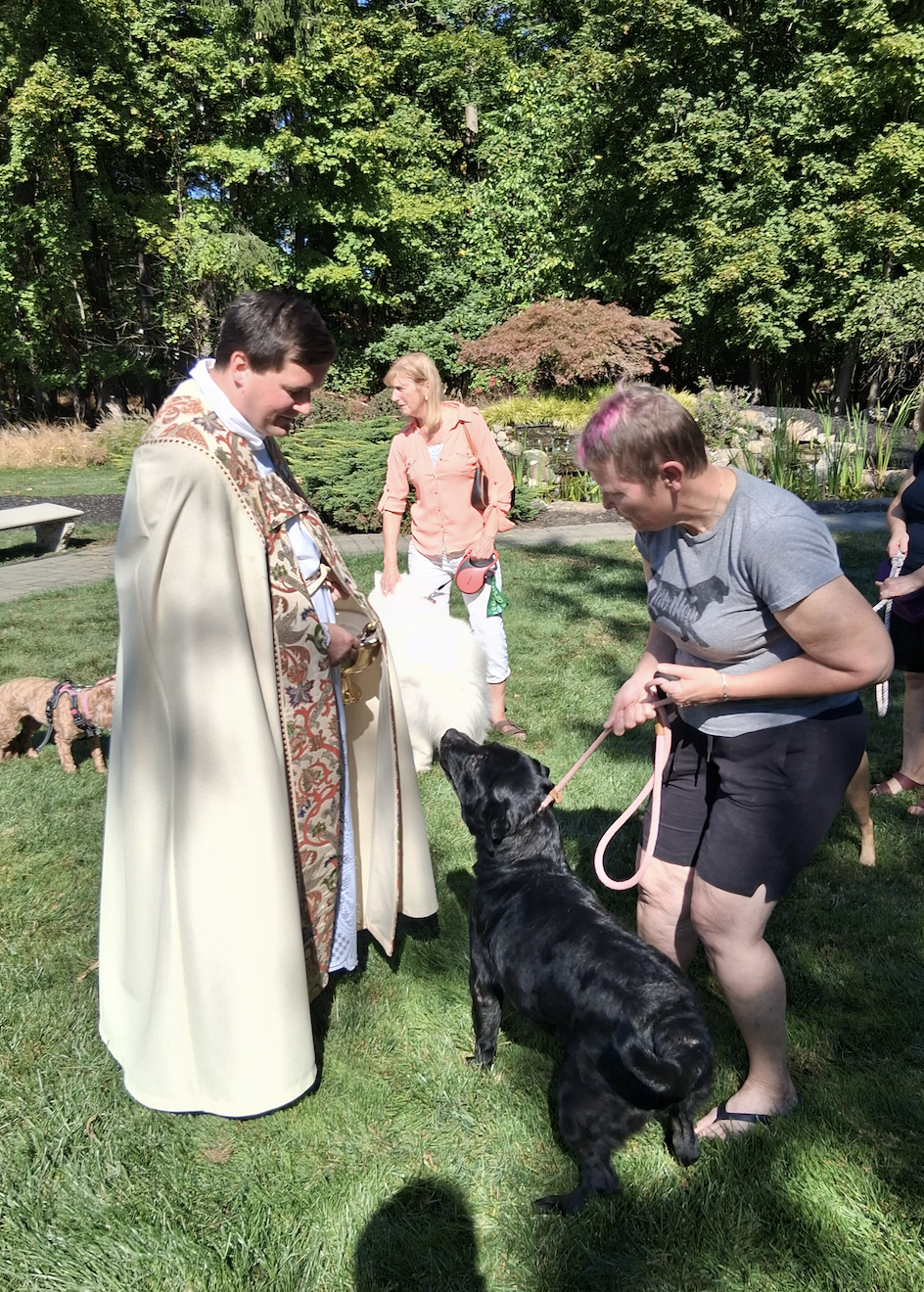 Screen Shot 2025-10-09 at 11.56.28 AM