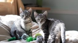 Community News 11.06.2025