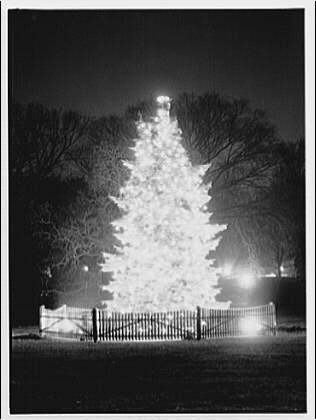 Celebrate the Season with Spring Valley