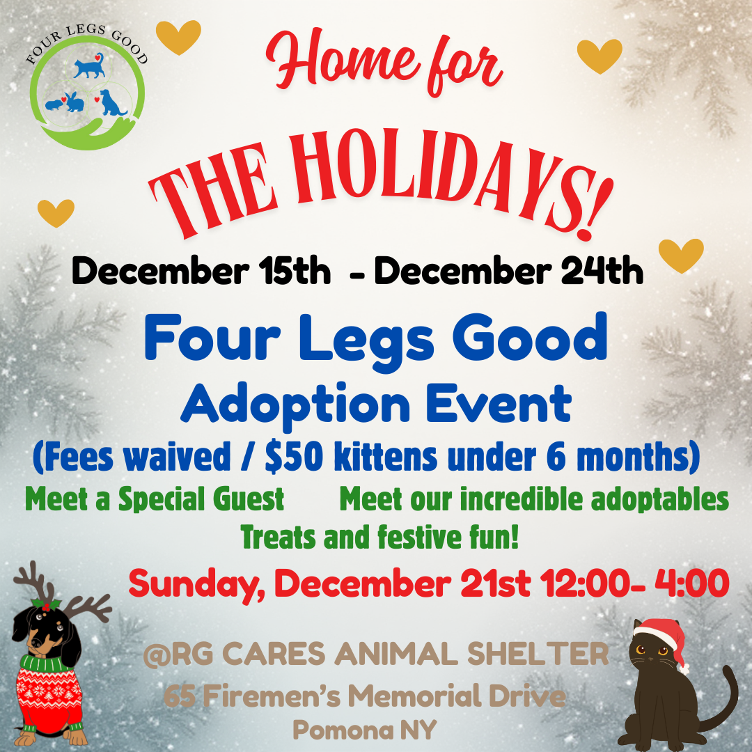 Home for the Holidays 2025-3 (1)