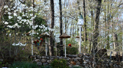 A Perfect 3-Day Itinerary for Pigeon Forge Travelers