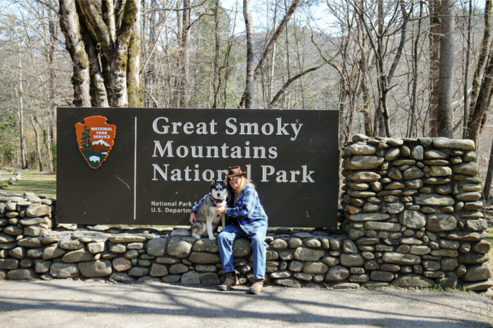 How to Plan a Smooth Vacation When Kids and Pets Are Part of the Plan