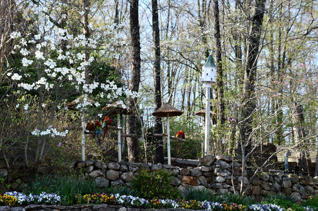 A Perfect 3-Day Itinerary for Pigeon Forge Travelers