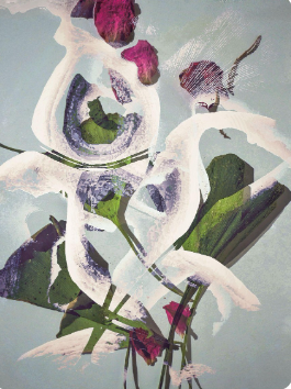 Screen Shot 2025-12-22 at 11.49.31 AM