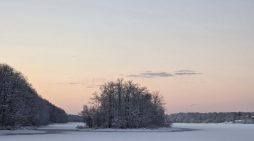 Community News 1.22.2026