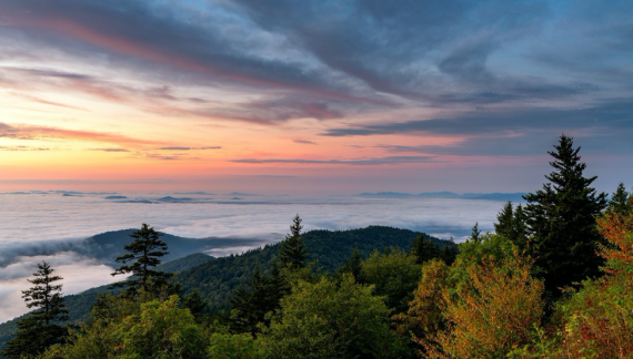 Travel Experiences That Do Not Rely on Nightlife or Crowds