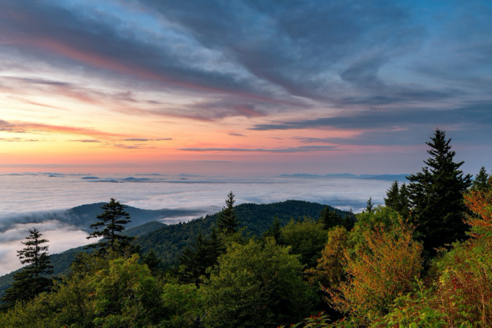 Travel Experiences That Do Not Rely on Nightlife or Crowds