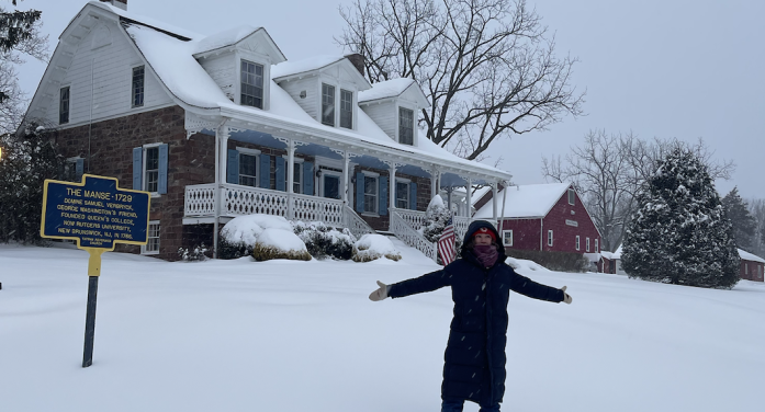 Snow Storm Fern Blankets Rockland