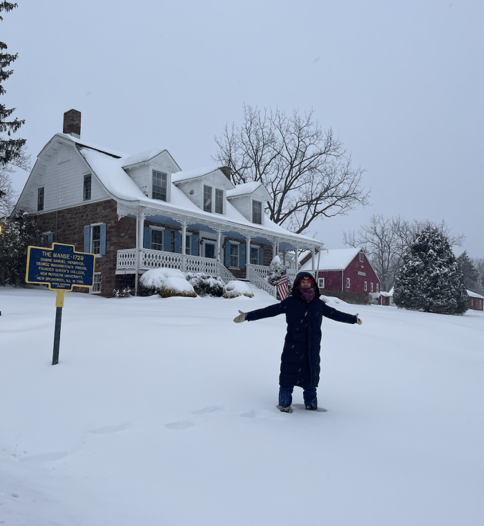 Snow Storm Fern Blankets Rockland