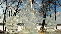 HoehmTown Happenings