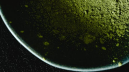 Buy Kratom Bulk Today—Get Fast Shipping From KRATOMade Online!