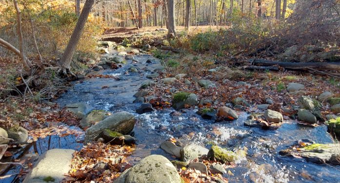 Land Trust Adds 16 Acres of Protected Land in New City