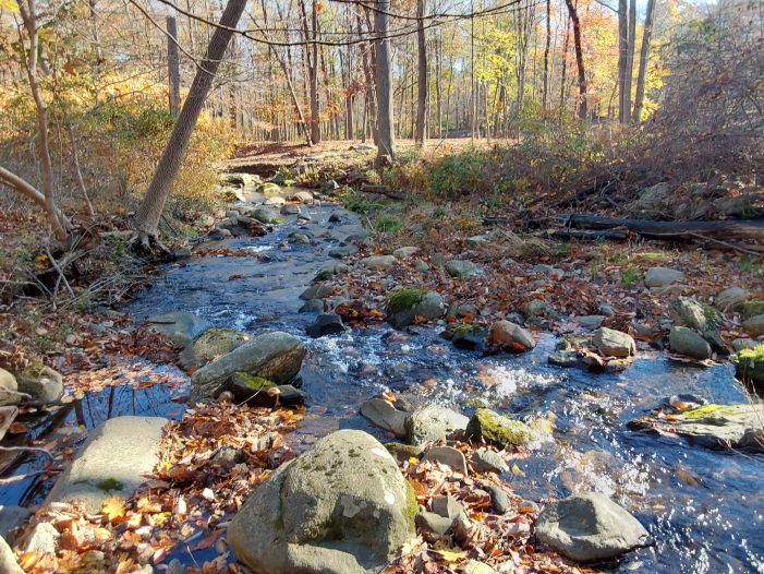Land Trust Adds 16 Acres of Protected Land in New City