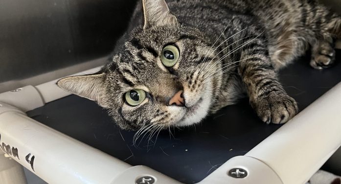 Community News 3.12.2026