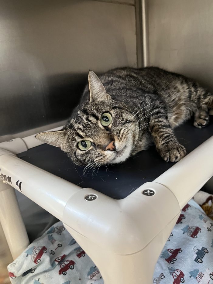 Community News 3.12.2026