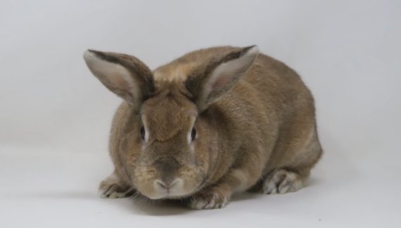 Community News 4.16.2026