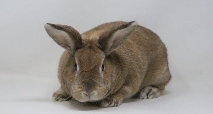 Community News 4.16.2026