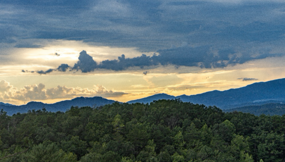 Pigeon Forge with Kids: Fun-Filled Ideas for a Trip They’ll Never Forget