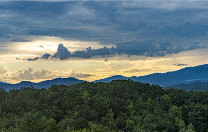 Pigeon Forge with Kids: Fun-Filled Ideas for a Trip They’ll Never Forget