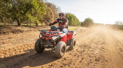 Top 5 Popular UTV Trails for Riders